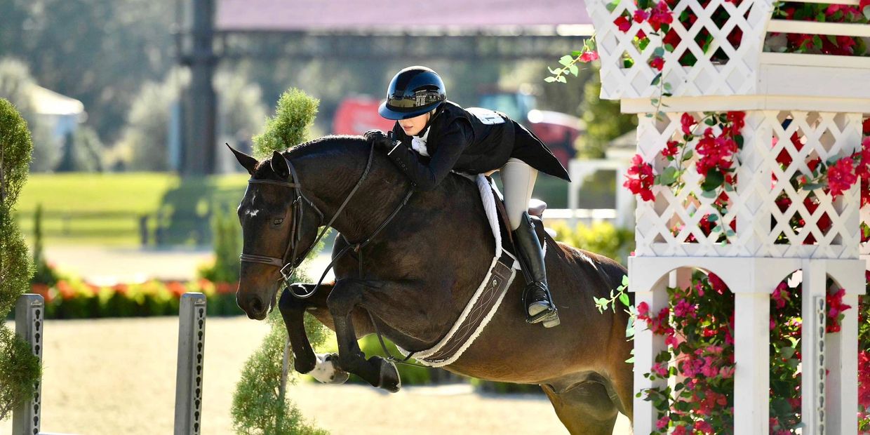 Equestrian rider and horse gracefully jump over an obstacle during a show jumping event.