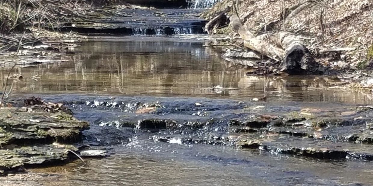 Natchez Trace Realty, LLC Real Estate, Homes for Sale