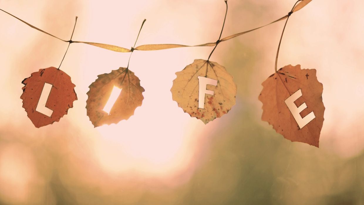 Life Coaching. Coaching. Self-discovery. Know yourself. Goal setting. The life you crave. 