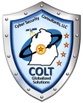 COLT Cyber Security Consultants, LLC