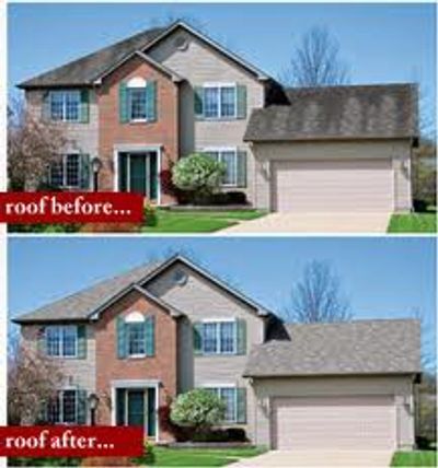 Shingle Roof Cleaning