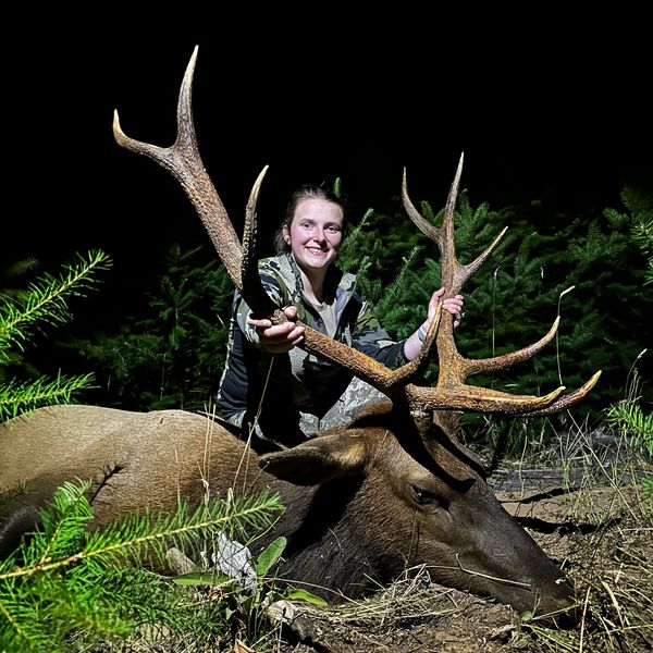 A hunter poses proudly with a large elk at night in a forest.