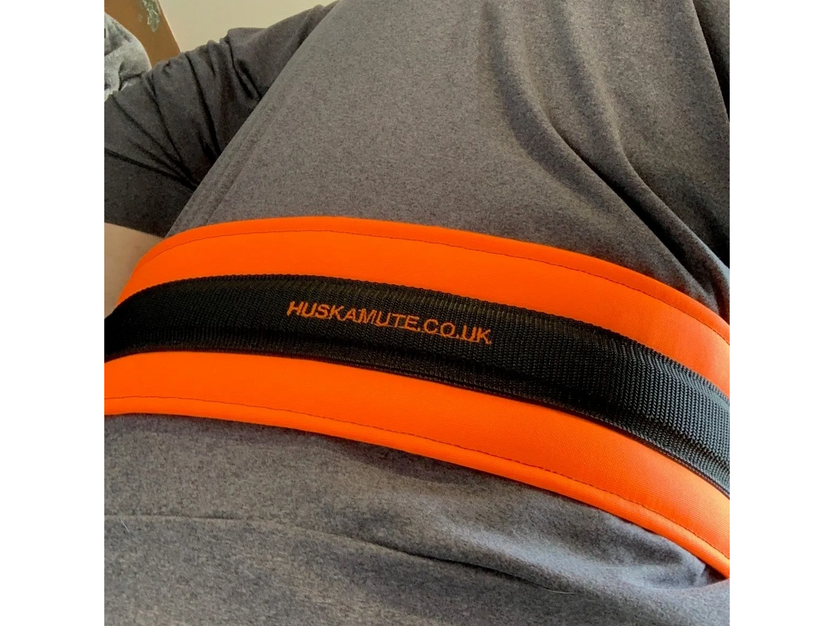Dog Walking Belt