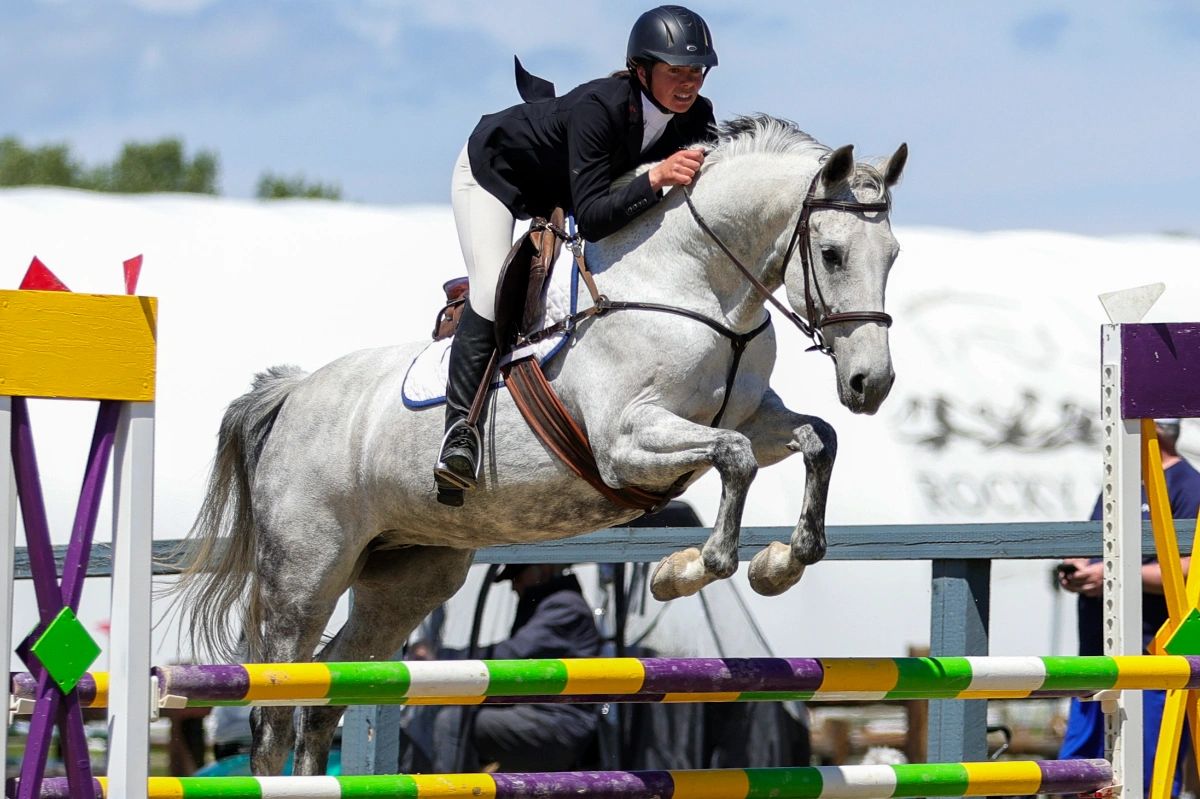 Equestrian rider jumping a horse over a colorful obstacle.