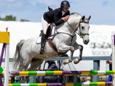 Equestrian jumper clears colorful obstacle.