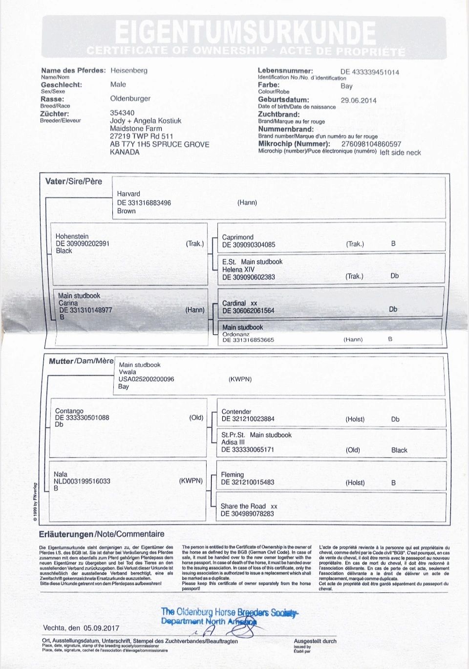 Horse ownership certificate for Heisenberg, an Oldenburger stallion, born 2014.