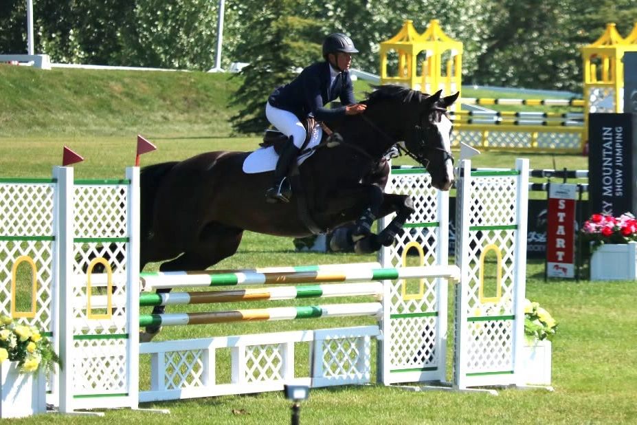Equestrian jumping event with rider and horse clearing an obstacle.