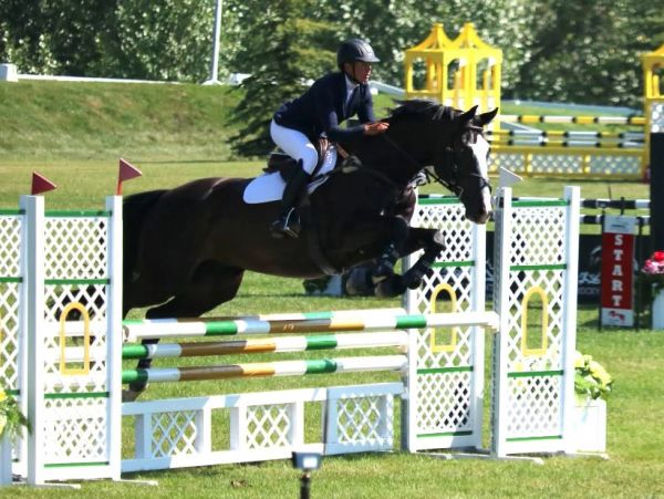 Horse and rider jumping over hurdles in competition.