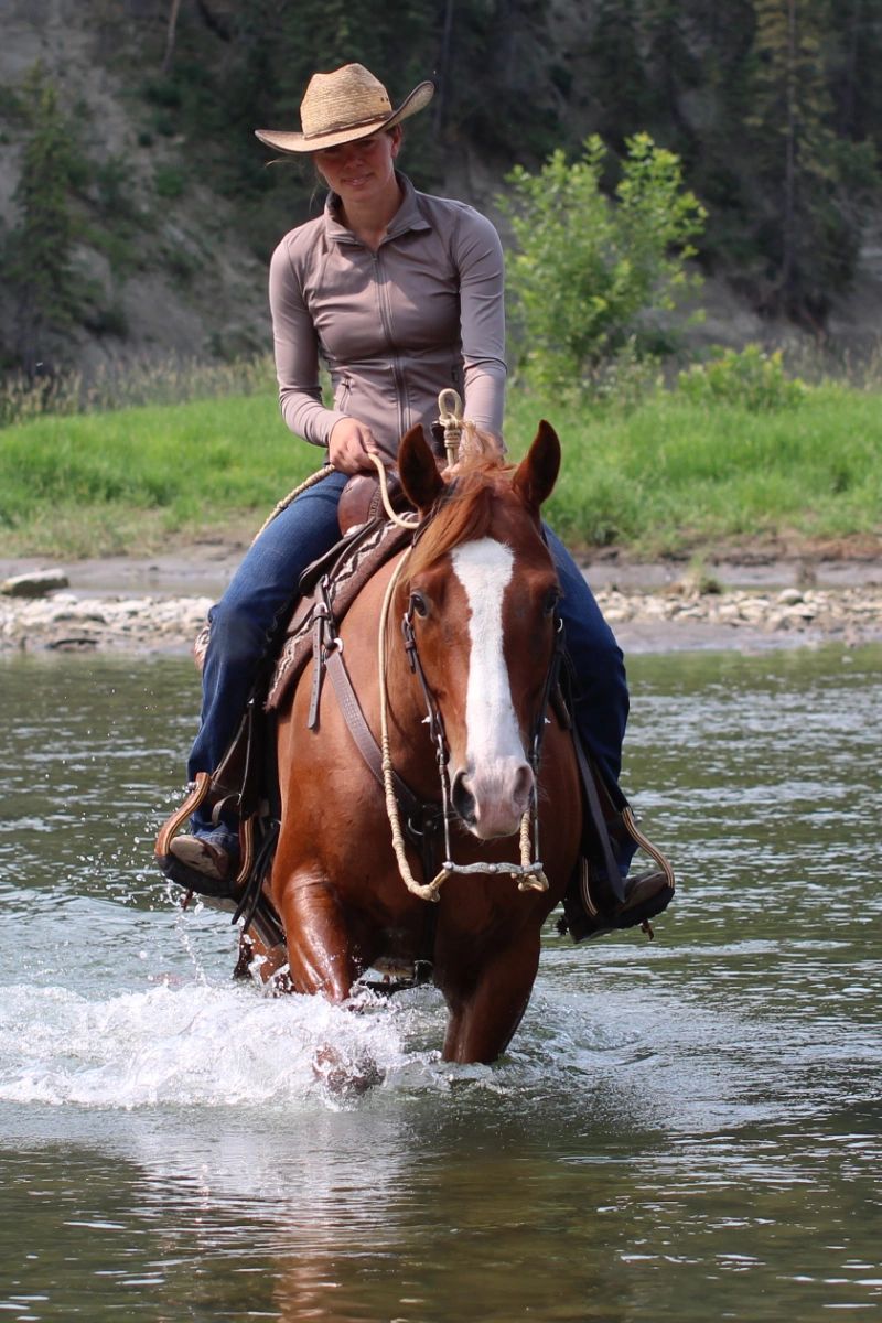 Person riding a horse through water in a rural area.