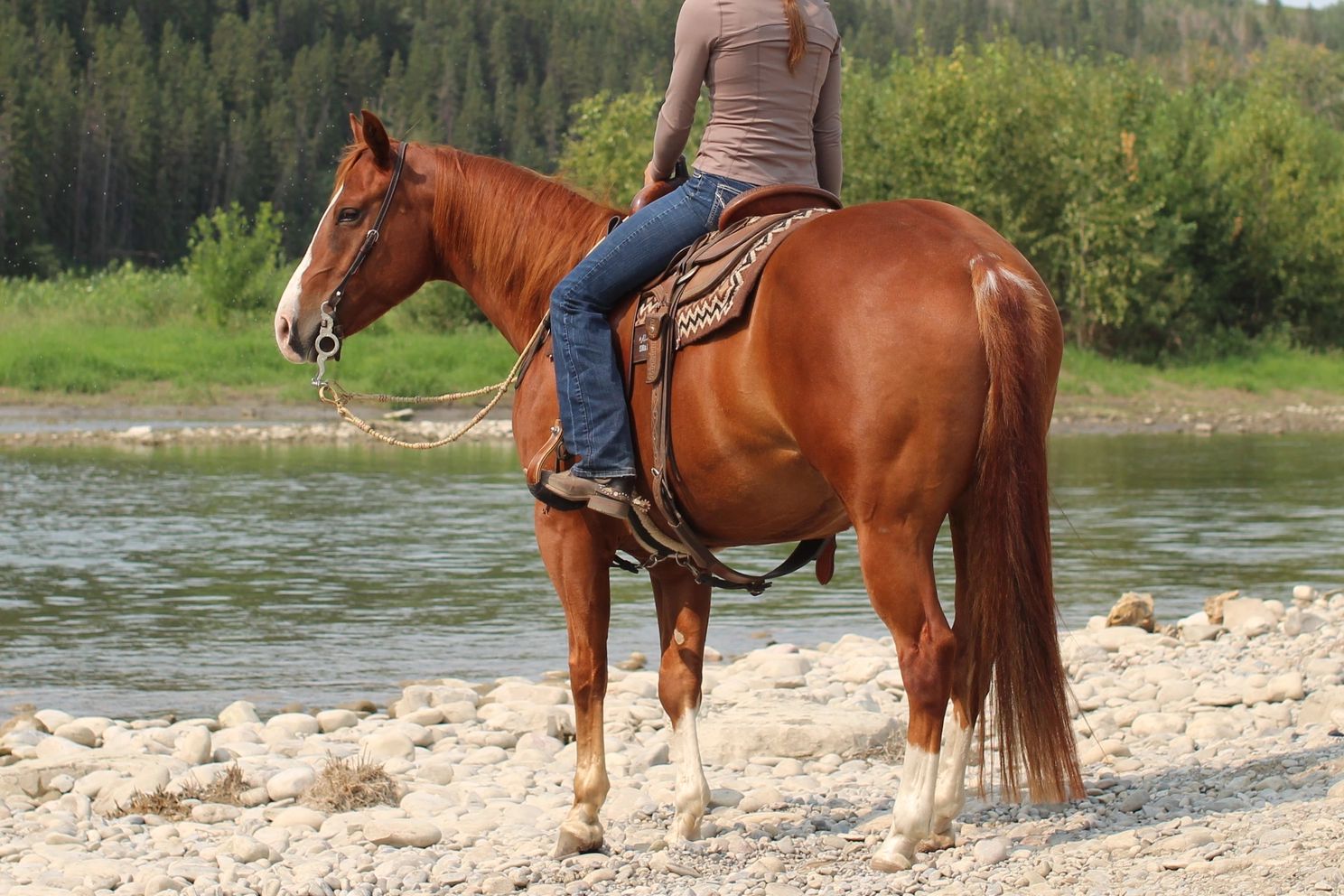Person riding a horse by a riverbank.
