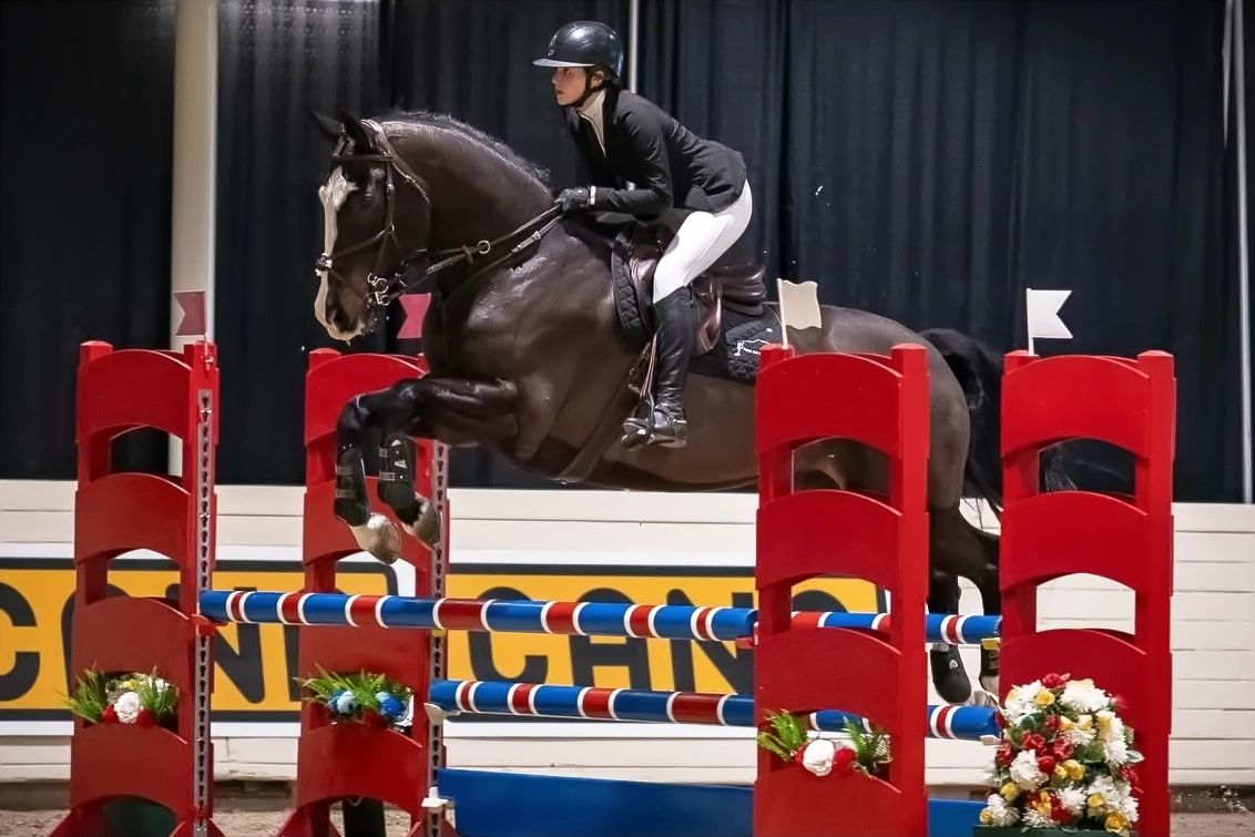 Equestrian rider jumps horse over red obstacles.