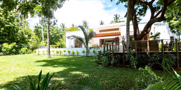 Garden view