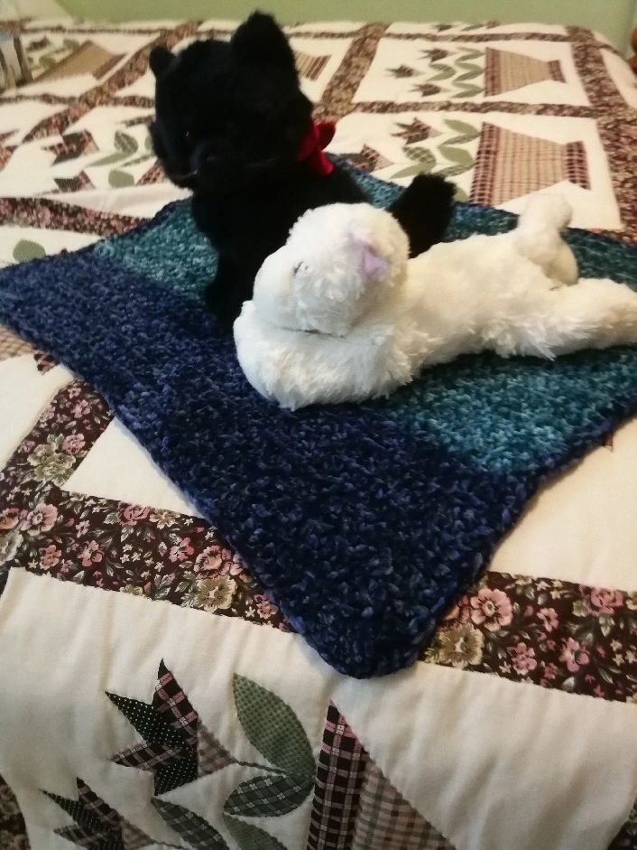 Cat Blankets For The Humane Society