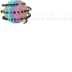 NanoPalm