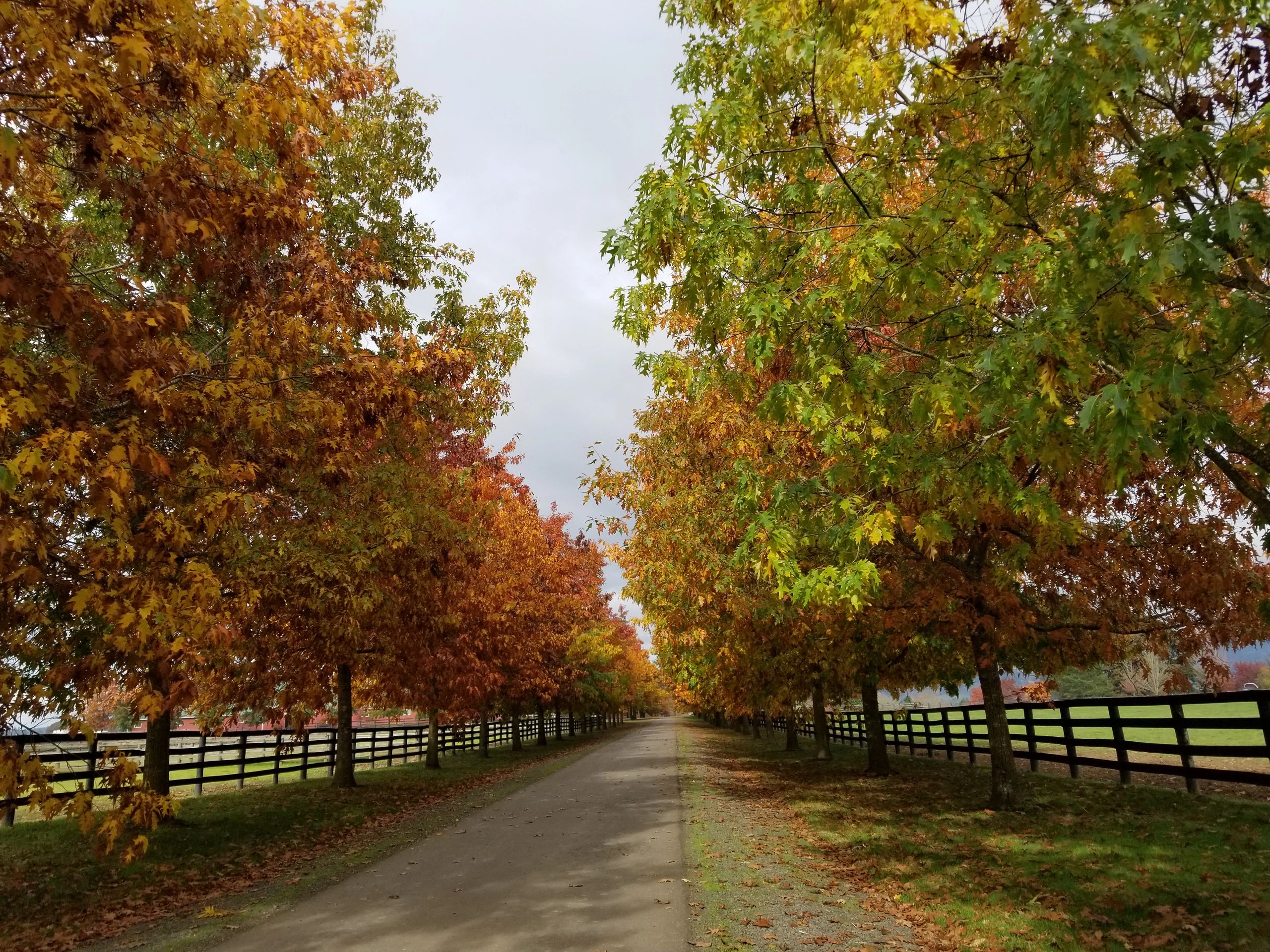 Ewing Young Distillery in Newberg, Oregon