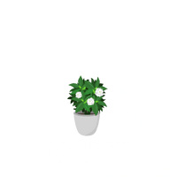 Canul Cleaning Services, LLC