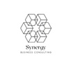 Synergy Business Consulting