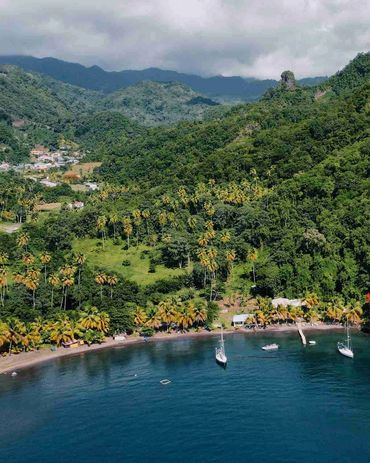 Surrounded by rolling hills and majestic palm trees, this beach is the epitome of an unspoiled Carib