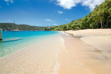 A serene beach with clear blue water and lush greenery under a sunny sky.