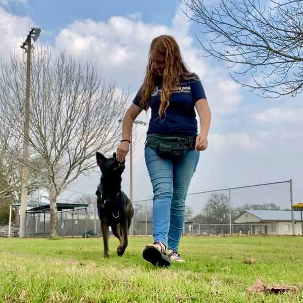 Megan the dog trainer feeding a sable German shepherd a treat 