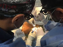 Cirurgia de implante valvar transcateter (TAVI) - durante procedimento