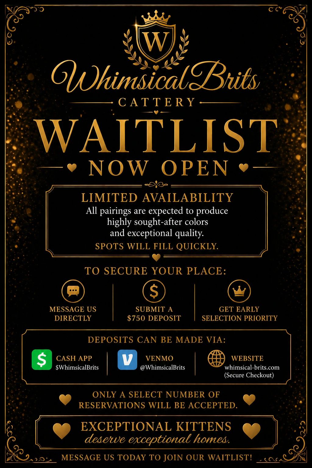 Elegant gold and black cattery waitlist announcement with deposit info and reservation details.