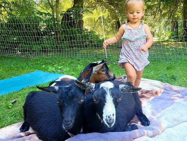 Serenbe Stories  Goat Yoga & Finding Peace in Nature with Heather
