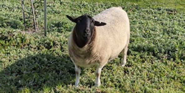 We are based in rural Victoria and have lived and worked in very remote 