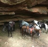 Rest stop on Trail. Notice non of our horses are tied.