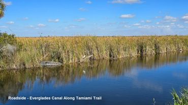 Landscapes of Southwest Florida Photos - Along the Tamiami Trail