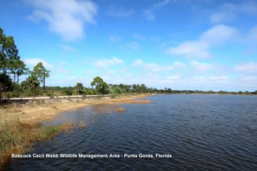 Landscape Photos Southwest Florida - Babcock Cecil Webb Wildlife Management Area