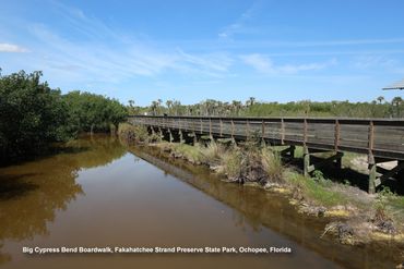 Landscapes of Southwest Florida Photos - Big Cypress Bend Boardwalk