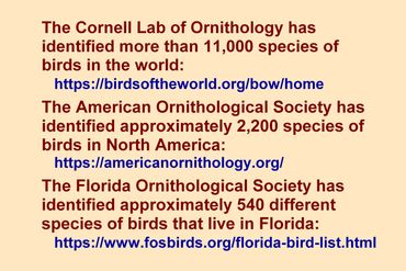 Information about number of species of birds in the world, in North America, and in Florida.
