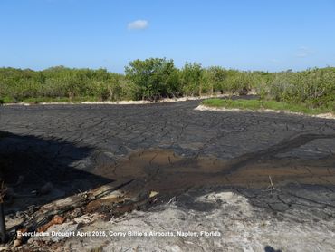 Southwest Florida Landscape Photos - Everglades Drought April 2025