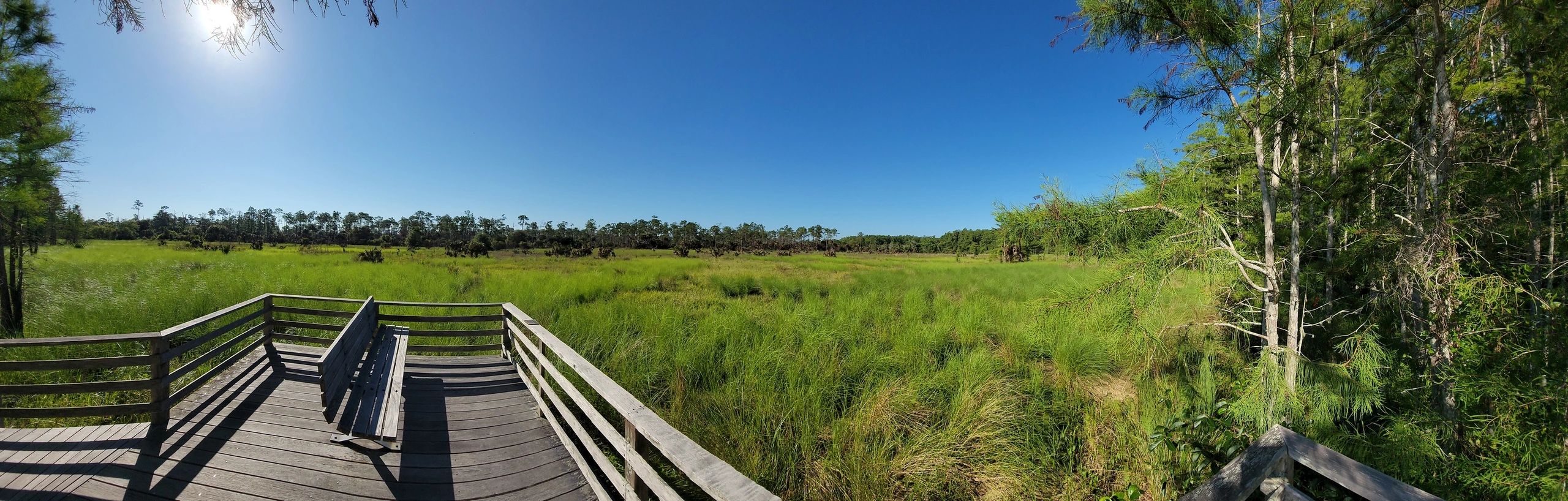 Panorama Photo Southwest Florida - Corkscrew Swamp Sanctuary, Wet Prairie, Naples, Florida