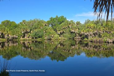 Southwest Florida  Landscape Photos - Deer Prairie Creek Preserve
