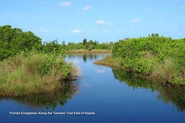 Southwest Florida Landscape Photos - Florida Everglades Along the Tamiami Trail East of Naples