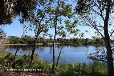Landscape Photos from Southwest Florida - Freedom Park Pond, Naples, Florida