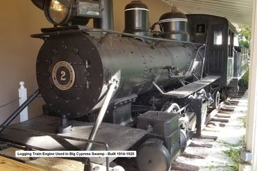 Southwest Florida History Photos - Big Cypress Swamp Logging Train Engine 1914-1920