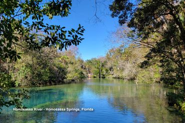 Southwest Florida Landscape Photos - Homosassa River, Homosassa Springs, FL