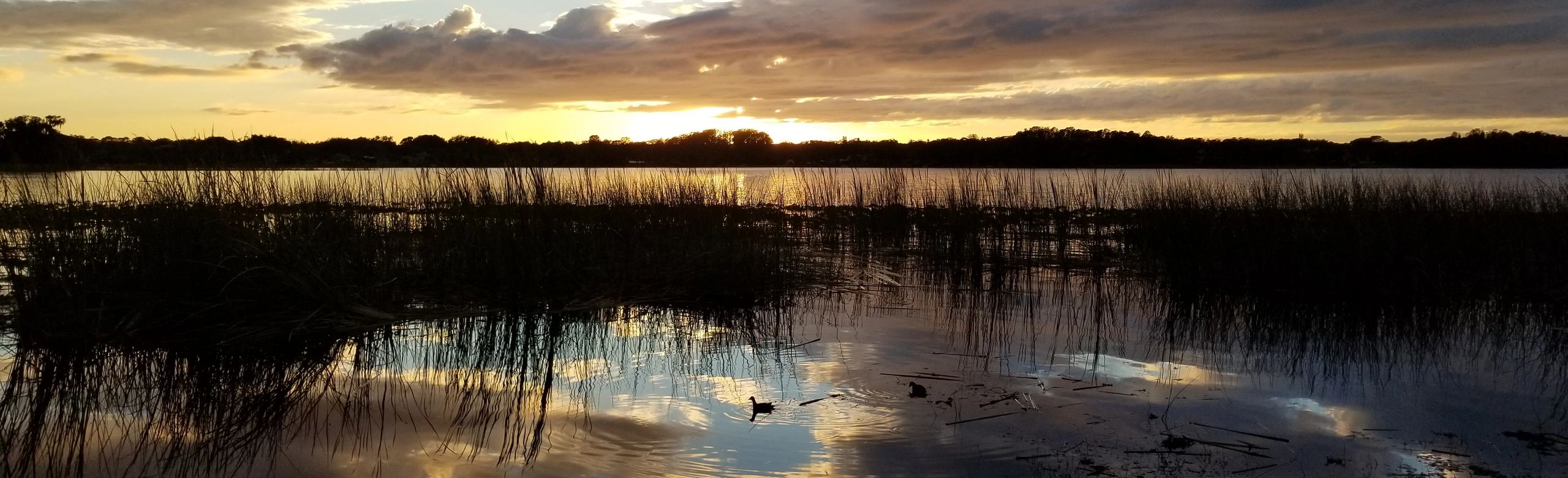 John Chesnut Park, Palm Harbor, Florida - Sunset Panorama Photo
