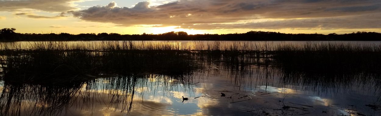 John Chesnut Park, Palm Harbor, Florida - Sunset Panorama Photo