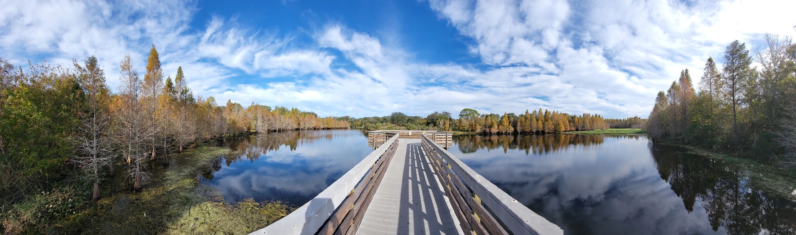 Kapok Park, Safety Harbor, Florida - Panorama Photo
