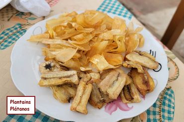 Cuban Food Photos - Plantains