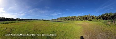 Landscapes of Southwest Florida Photos - Myakka River State Park, Sarasota, Florida