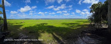 Landscape Photos Southwest Florida - Myakka River State Park, Lake Myakka