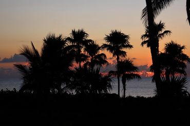 Sunset Photo - Palm Trees, Gulf of Mexico, Naples, Florida