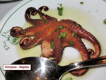 Italy Food Photos - Octopus