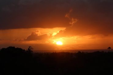 Sunrise Photo - Bushy Park, St Philip, Barbados