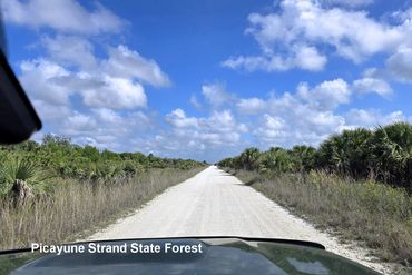 Landscapes of Southwest Florida Photos - Picayune Strand State Forest